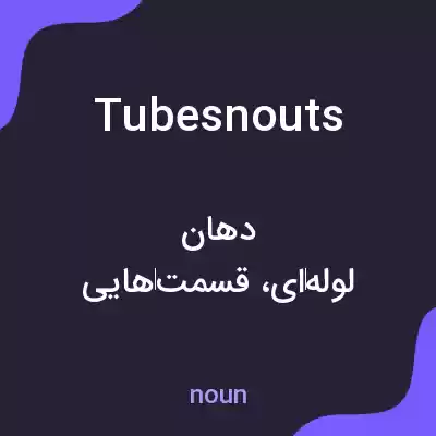 معنی tubesnouts به فارسی معنی tubesnouts به فارسی
