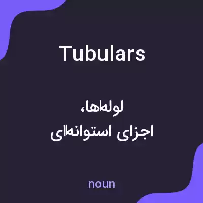 معنی tubulars به فارسی معنی tubulars به فارسی