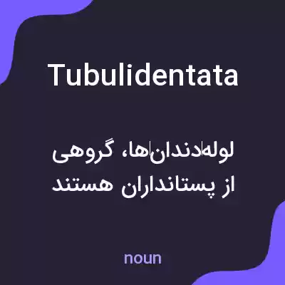 معنی tubulidentata به فارسی معنی tubulidentata به فارسی