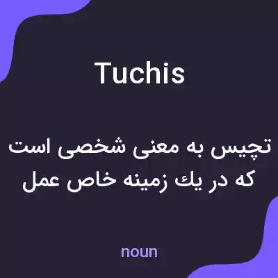 معنی tuchis به فارسی معنی tuchis به فارسی