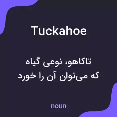 معنی tuckahoe به فارسی معنی tuckahoe به فارسی