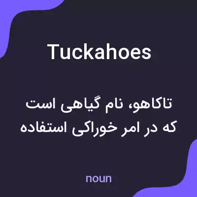 معنی tuckahoes به فارسی معنی tuckahoes به فارسی