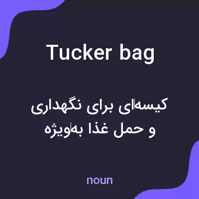 معنی tucker bag به فارسی معنی tucker bag به فارسی
