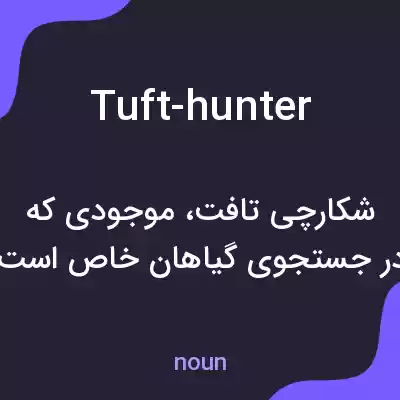 معنی tuft-hunter به فارسی معنی tuft-hunter به فارسی