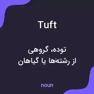 معنی tuft به فارسی معنی tuft به فارسی
