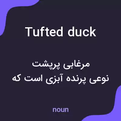 معنی tufted duck به فارسی معنی tufted duck به فارسی