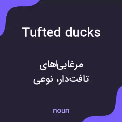 معنی tufted ducks به فارسی معنی tufted ducks به فارسی