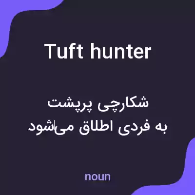 معنی tuft hunter به فارسی معنی tuft hunter به فارسی