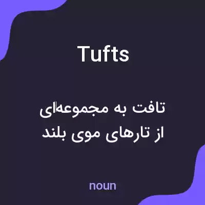 معنی tufts به فارسی معنی tufts به فارسی