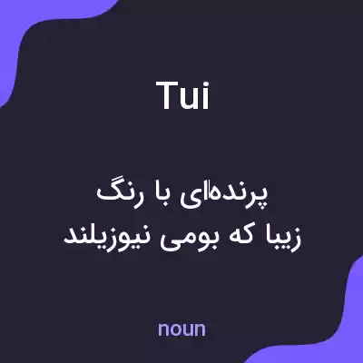 معنی tui به فارسی معنی tui به فارسی