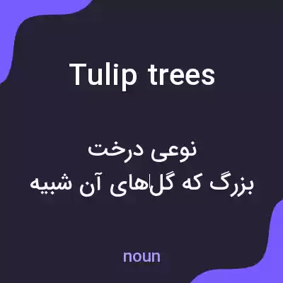معنی tulip trees به فارسی معنی tulip trees به فارسی
