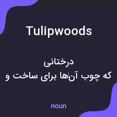 معنی tulipwoods به فارسی