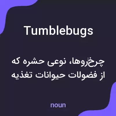معنی tumblebugs به فارسی معنی tumblebugs به فارسی