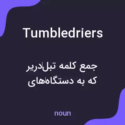 معنی tumble driers به فارسی معنی tumble driers به فارسی