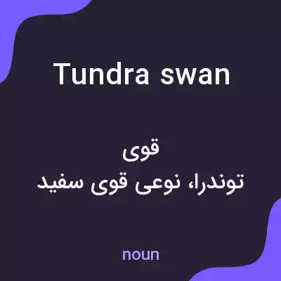 معنی tundra swan به فارسی معنی tundra swan به فارسی