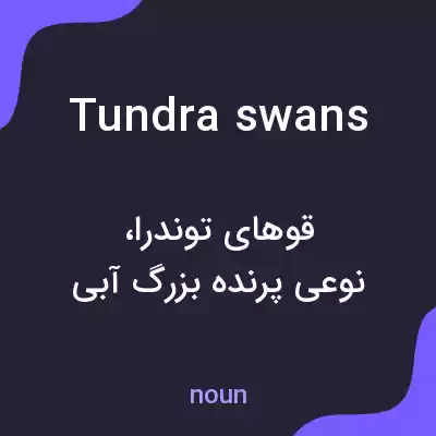 معنی tundra swans به فارسی معنی tundra swans به فارسی