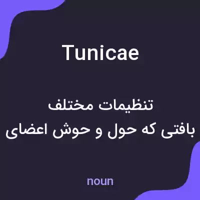 معنی tunicae به فارسی معنی tunicae به فارسی