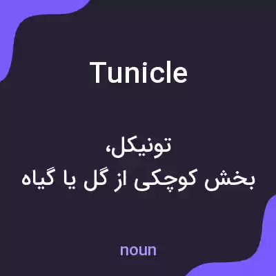 معنی tunicle به فارسی معنی tunicle به فارسی