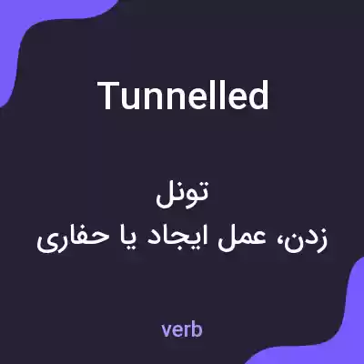 معنی tunnelled به فارسی معنی tunnelled به فارسی