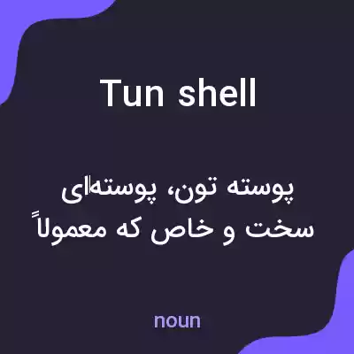 معنی tun shell به فارسی معنی tun shell به فارسی