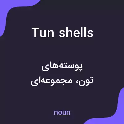 معنی tun shells به فارسی معنی tun shells به فارسی