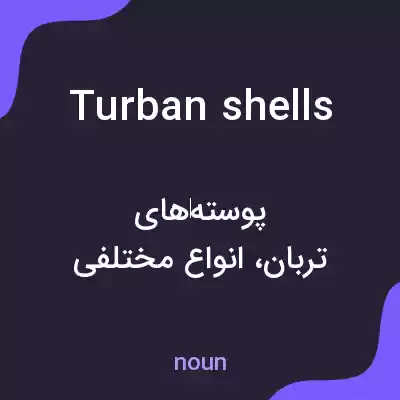 معنی turban shells به فارسی معنی turban shells به فارسی