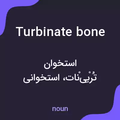 معنی turbinate bone به فارسی معنی turbinate bone به فارسی