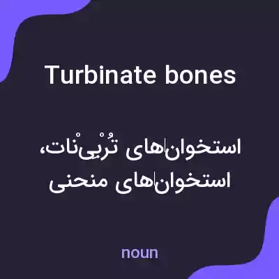 معنی turbinate bones به فارسی معنی turbinate bones به فارسی