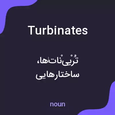 معنی turbinates به فارسی معنی turbinates به فارسی
