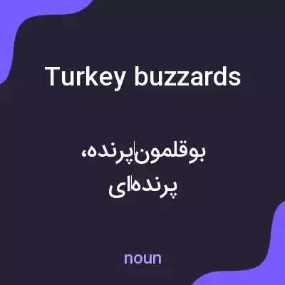 معنی turkey buzzards به فارسی معنی turkey buzzards به فارسی