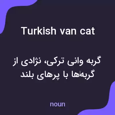 معنی turkish van cat به فارسی معنی turkish van cat به فارسی