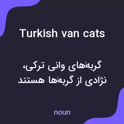معنی turkish van cats به فارسی معنی turkish van cats به فارسی