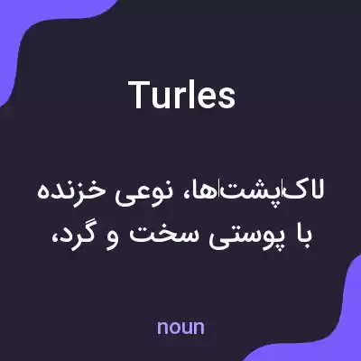 معنی turles به فارسی
