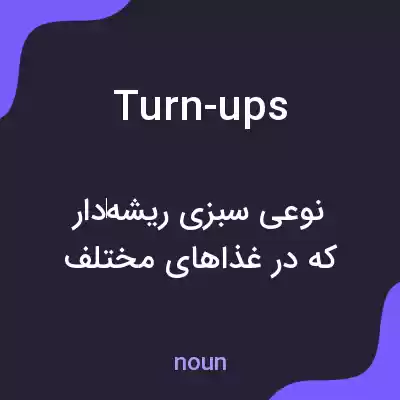 معنی turn-ups به فارسی معنی turn-ups به فارسی