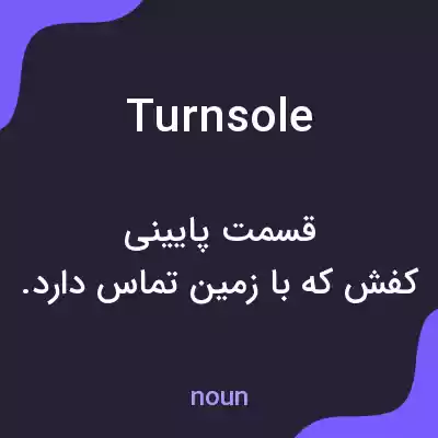 معنی turnsole به فارسی معنی turnsole به فارسی