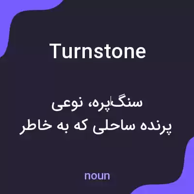 معنی turnstone به فارسی معنی turnstone به فارسی