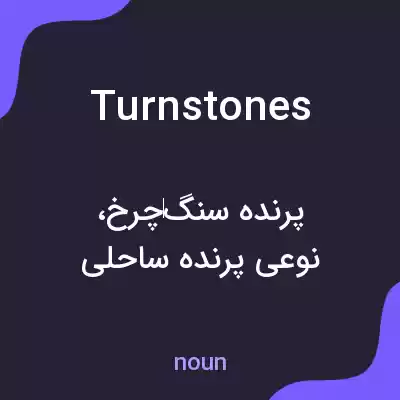 معنی turnstones به فارسی معنی turnstones به فارسی