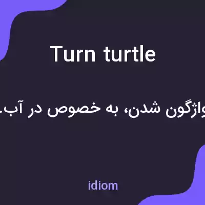 معنی turn turtle به فارسی معنی turn turtle به فارسی