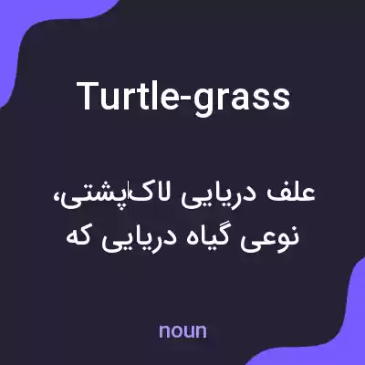 معنی turtle-grass به فارسی معنی turtle-grass به فارسی