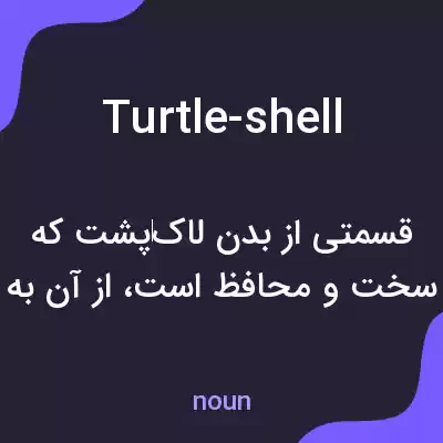معنی turtle-shell به فارسی معنی turtle-shell به فارسی