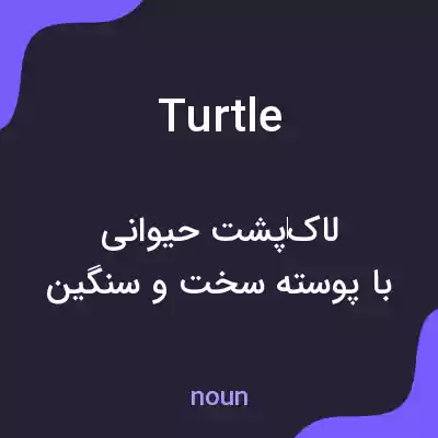 معنی turtle به فارسی معنی turtle به فارسی