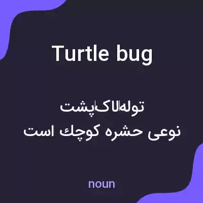 معنی turtle bug به فارسی معنی turtle bug به فارسی