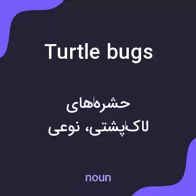 معنی turtle bugs به فارسی معنی turtle bugs به فارسی