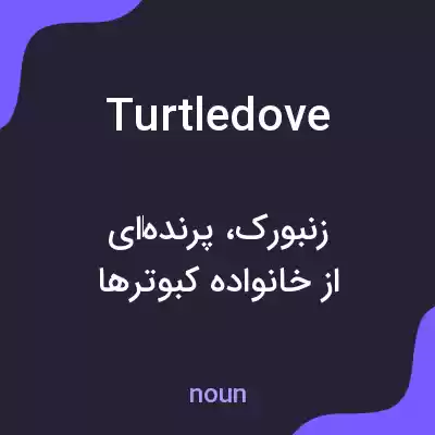 معنی turtle dove به فارسی معنی turtle dove به فارسی