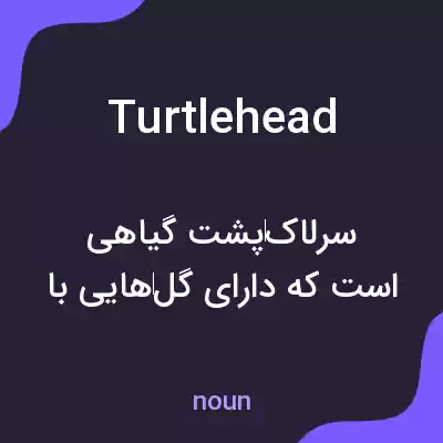 معنی turtlehead به فارسی معنی turtlehead به فارسی
