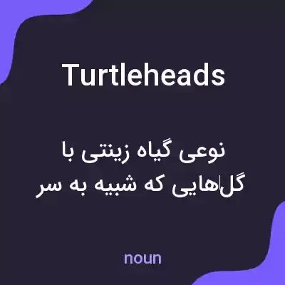 معنی turtleheads به فارسی معنی turtleheads به فارسی