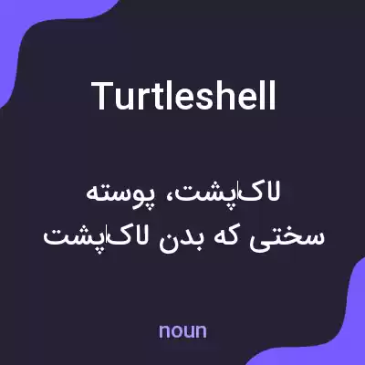 معنی turtleshell به فارسی معنی turtleshell به فارسی