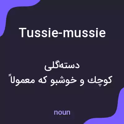 معنی tussie-mussie به فارسی معنی tussie-mussie به فارسی