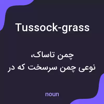 معنی tussock-grass به فارسی معنی tussock-grass به فارسی