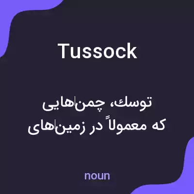 معنی tussock به فارسی معنی tussock به فارسی